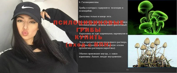 индика Зерноград