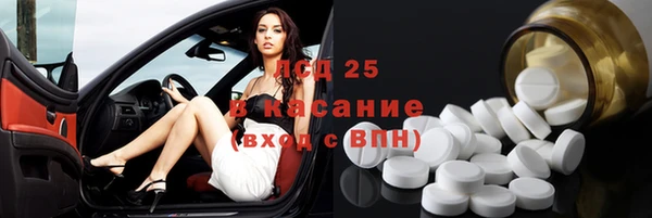 индика Зерноград