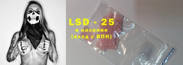 индика Зерноград