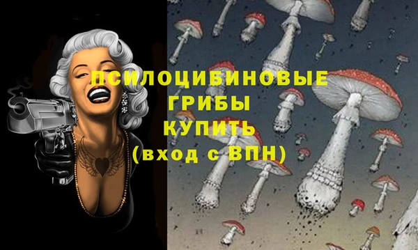 индика Зерноград