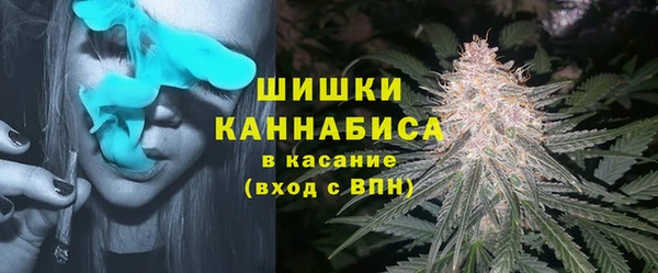 мдпв Зеленодольск