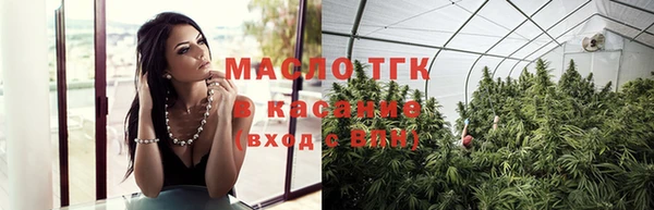 индика Зерноград