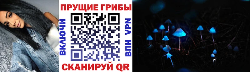 нарко площадка состав Карабаново гидра Псилоцибиновые грибы Psilocybe цена наркотик