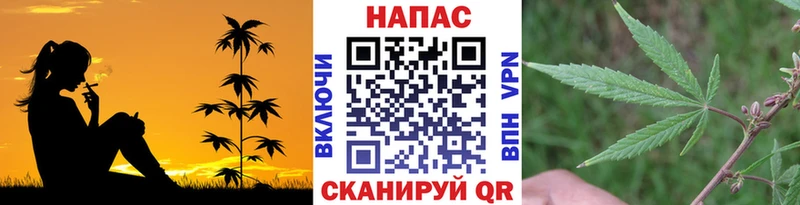 хочу shop наркотические препараты Марихуана индика Карабаново KRAKEN ссылки